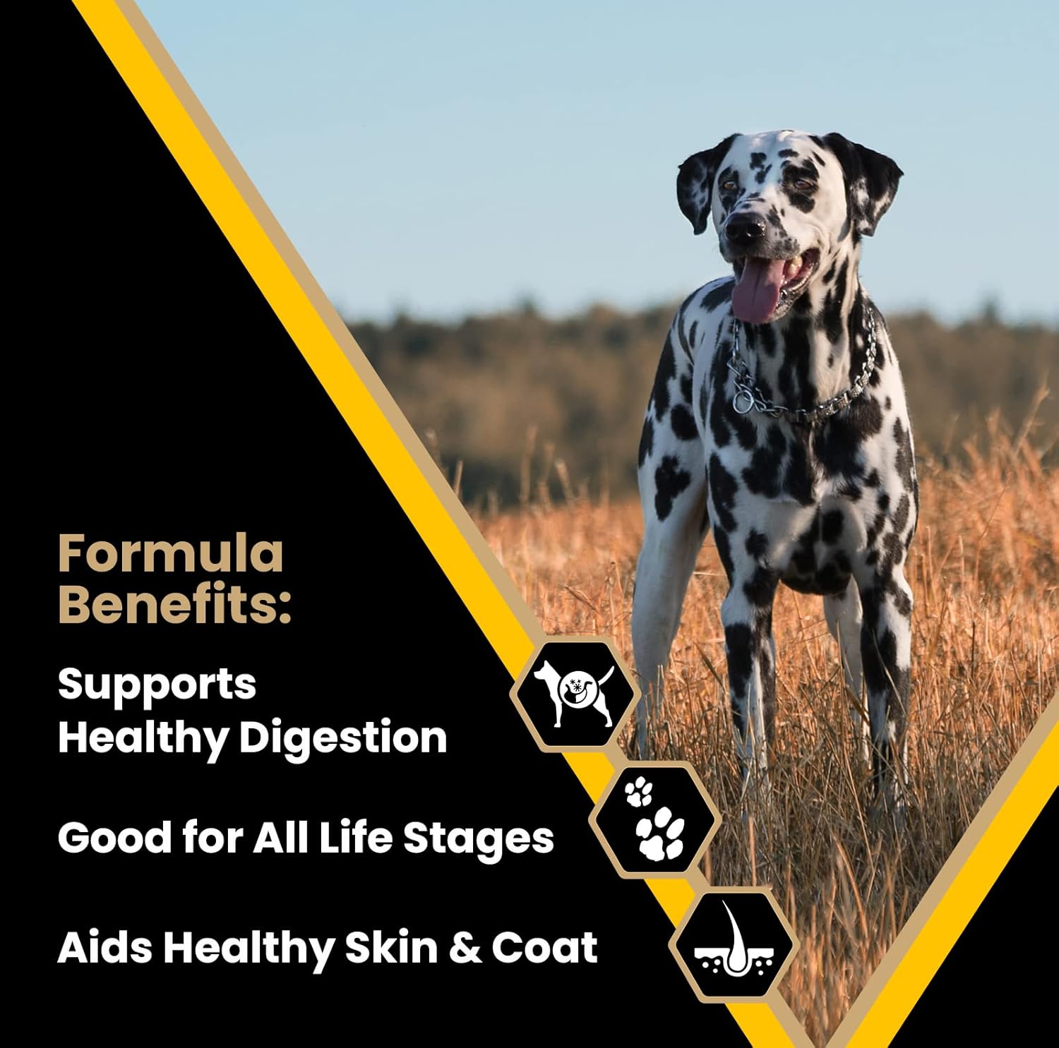 Gluten Free Dry Dog Food with Beef Chicken Pork Protein 50 lb k7