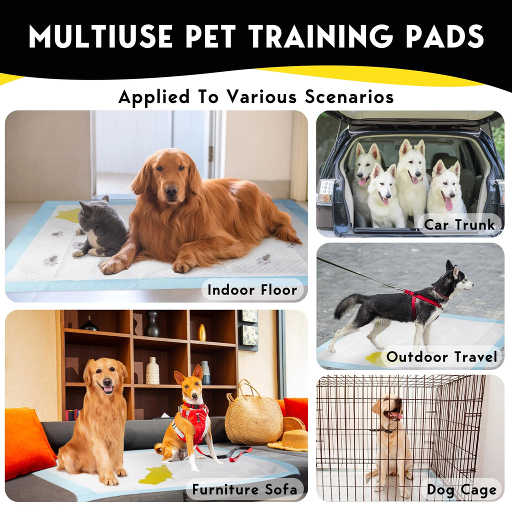 Dog Training Pads XXL 30x36 inch 100 Count a7