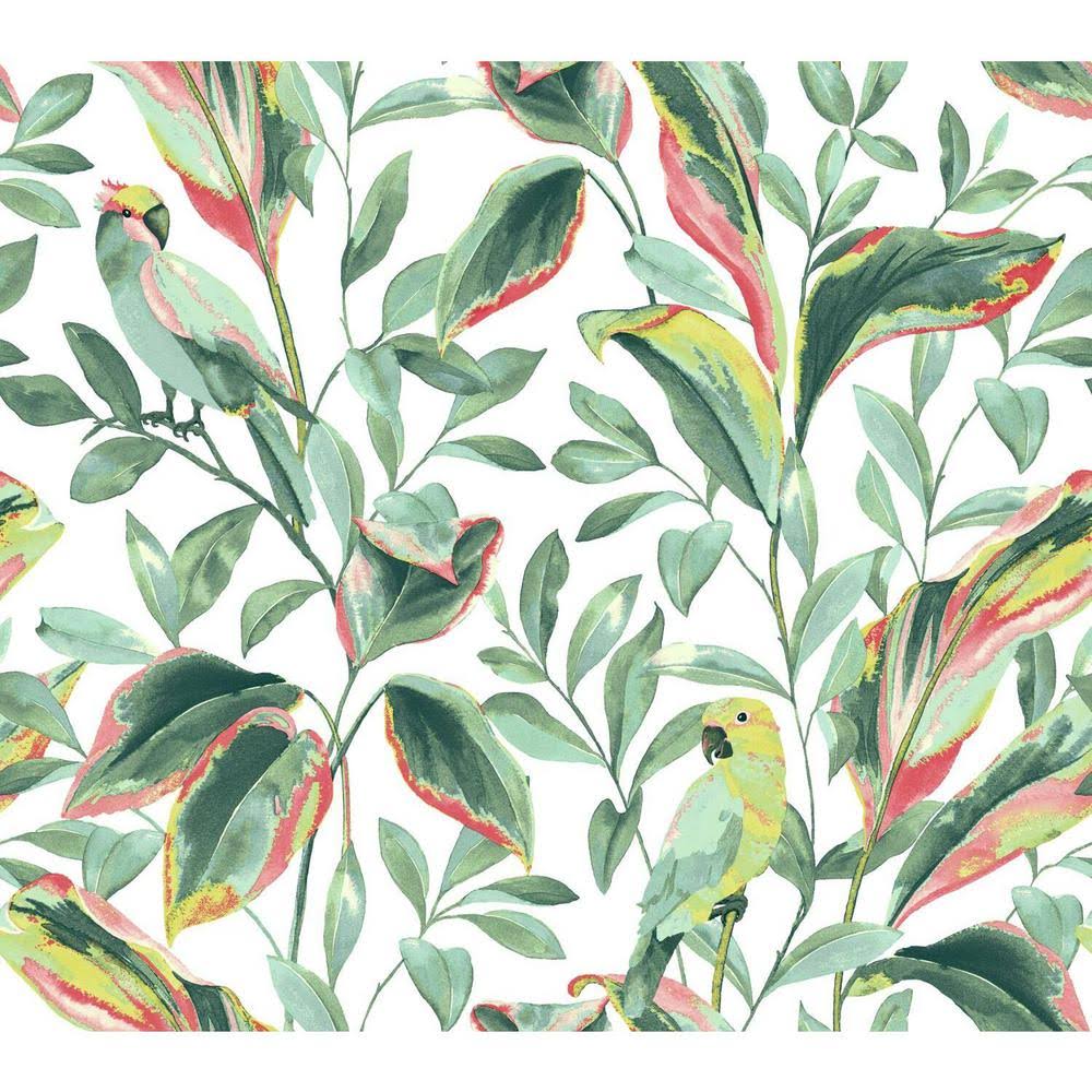 York TC2653 White Coral Tropical Love Birds Wallpaper