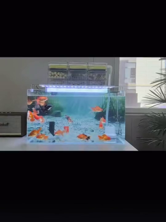 Aquarium Background Sticker 3D Underwater Scene k7