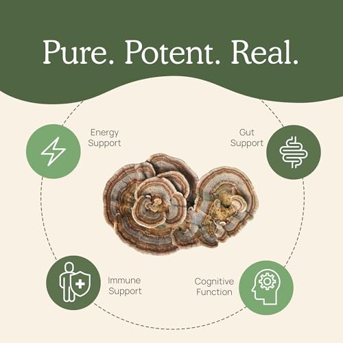 Turkey Tail Mushroom Powder Organic Supplement 7k