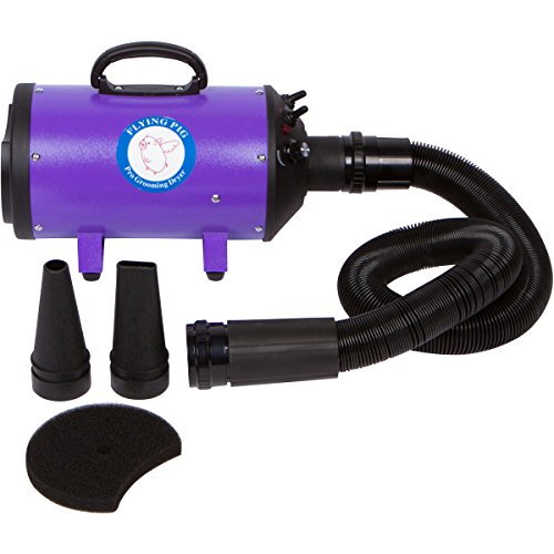 Dog Grooming Dryer with Heater Purple k7m
