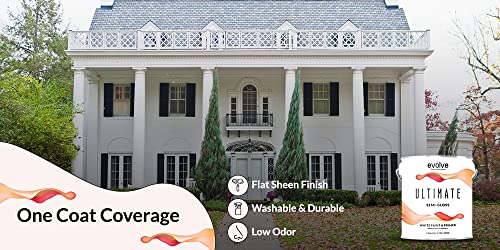 White Interior Exterior Paint Primer Flat Sheen Gallon a7