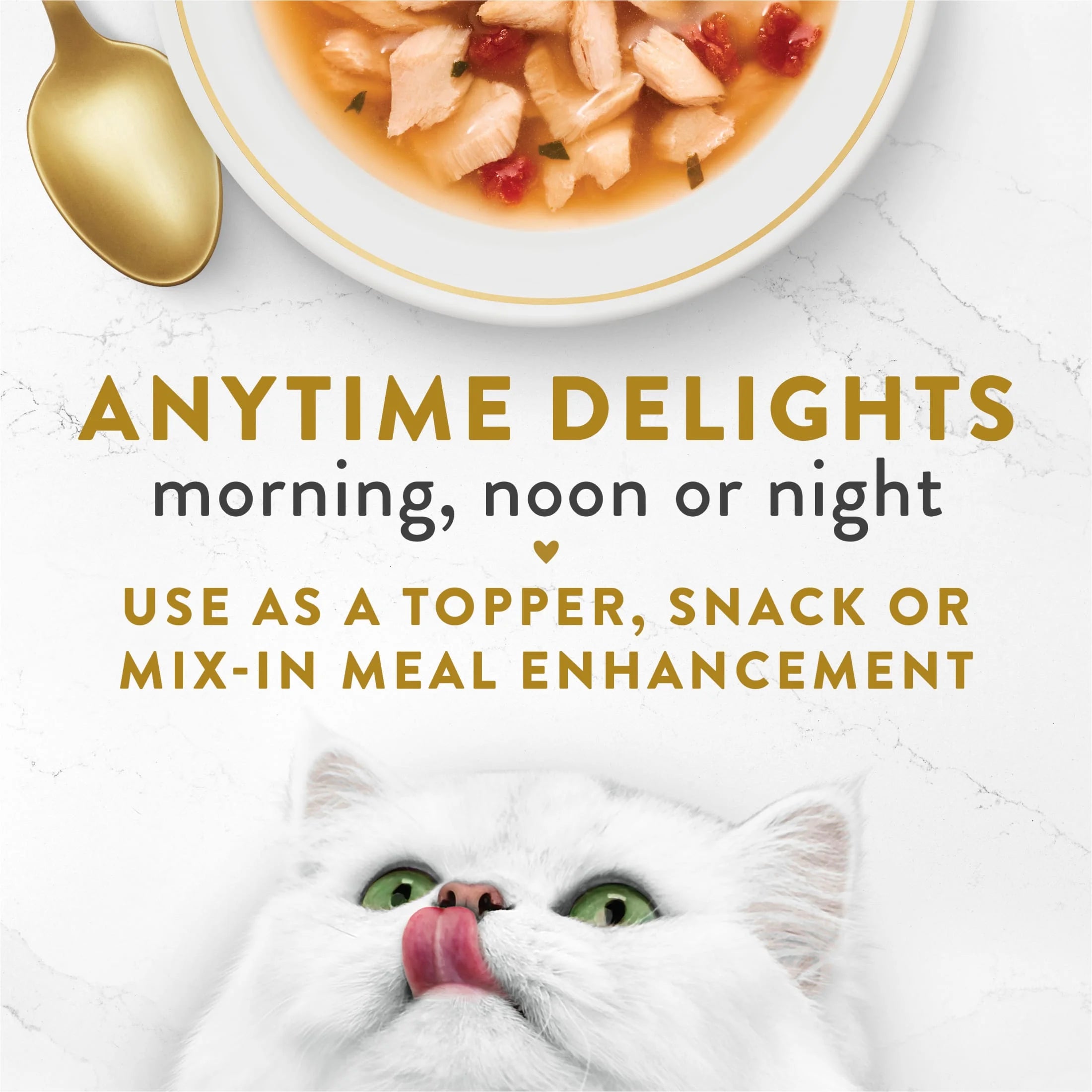 Kitten Wet Cat Food Salmon Vegetables 1.4 oz Pouch k7