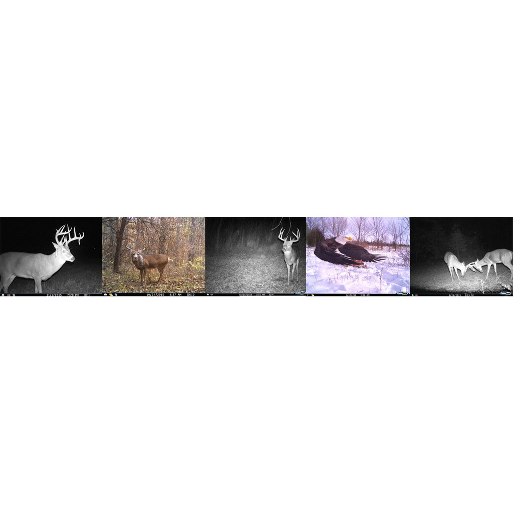 Trail Camera 2 Pack Wireless Network Black Flash a7