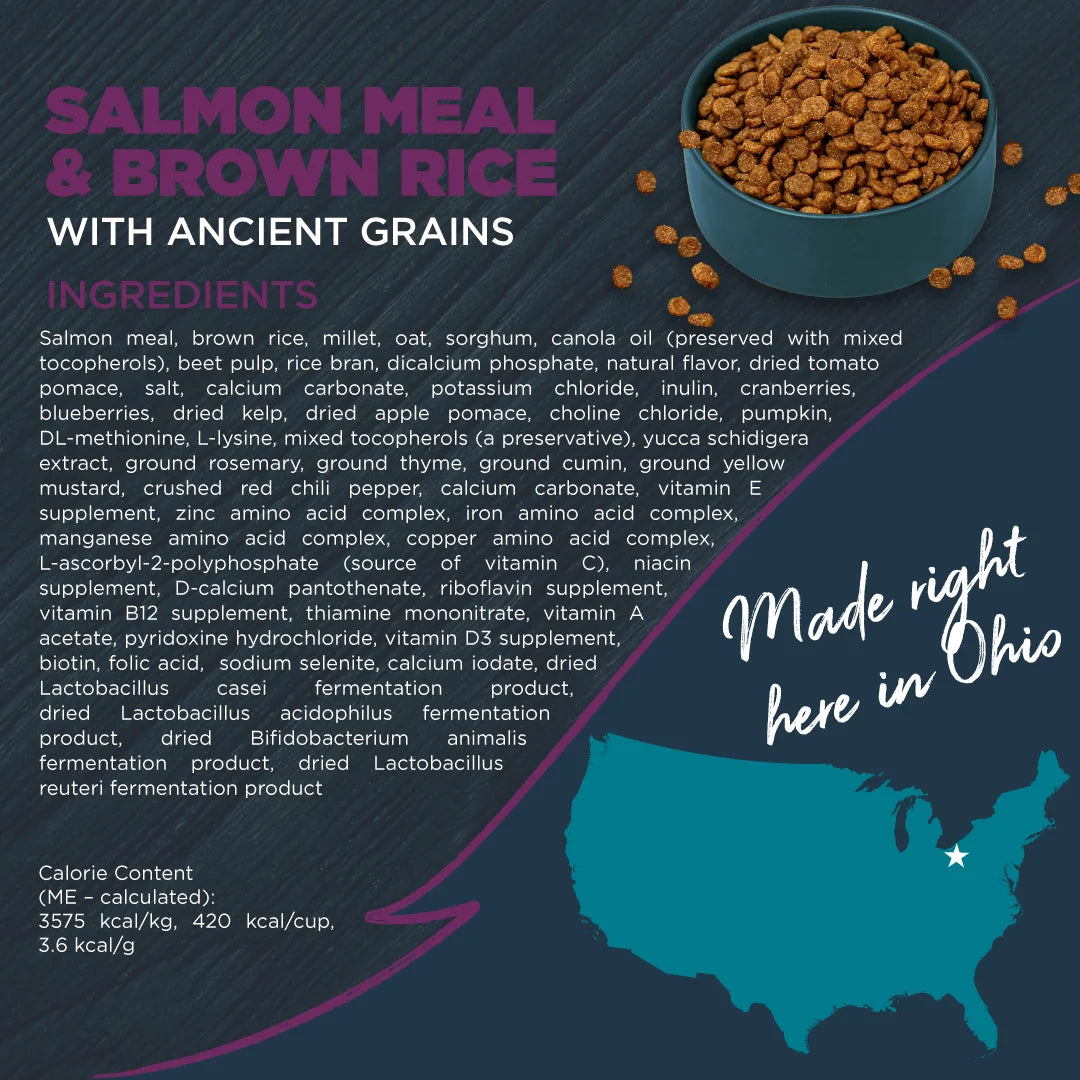Dry Dog Food Sensitive Skin Salmon Ancient Grains 10 lb. k7