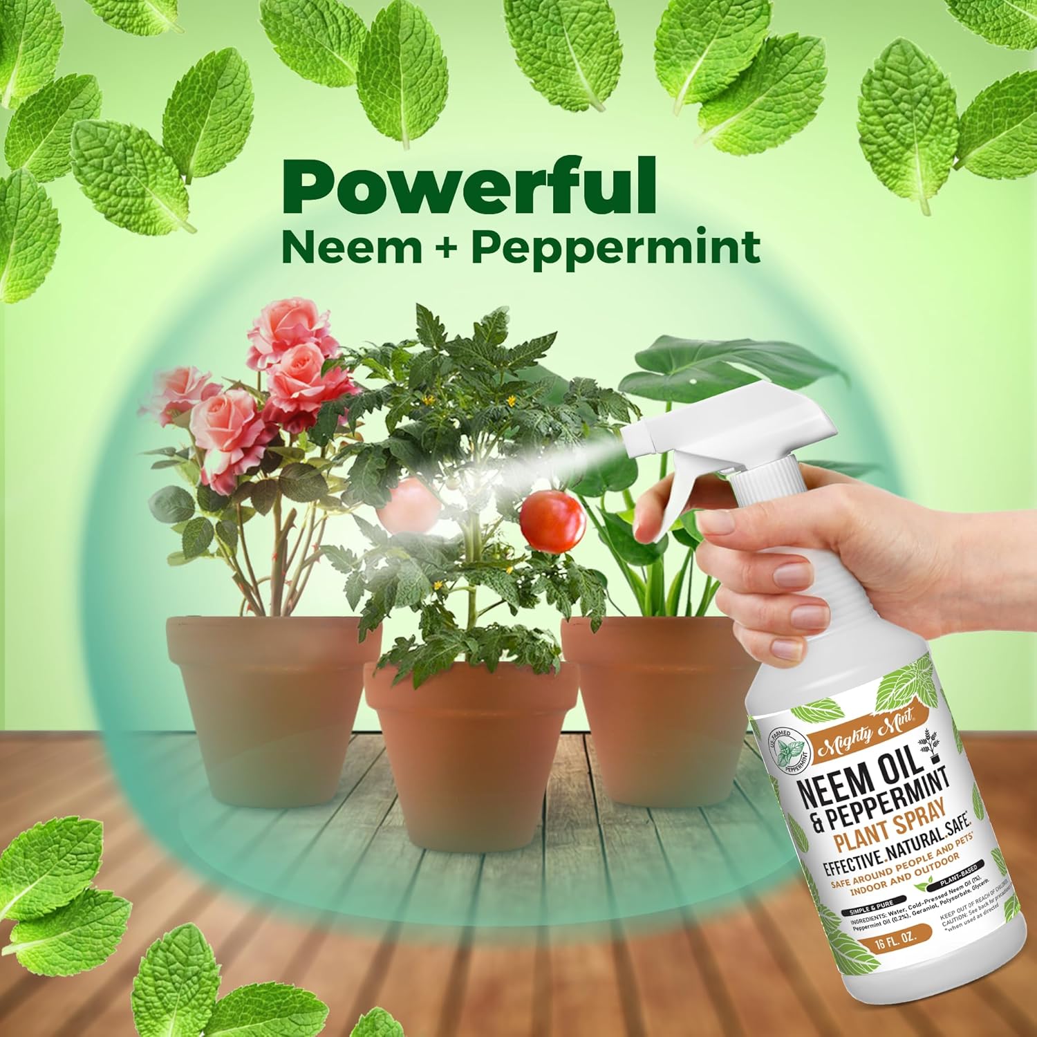 Neem Oil & Peppermint Plant Spray 16oz k7
