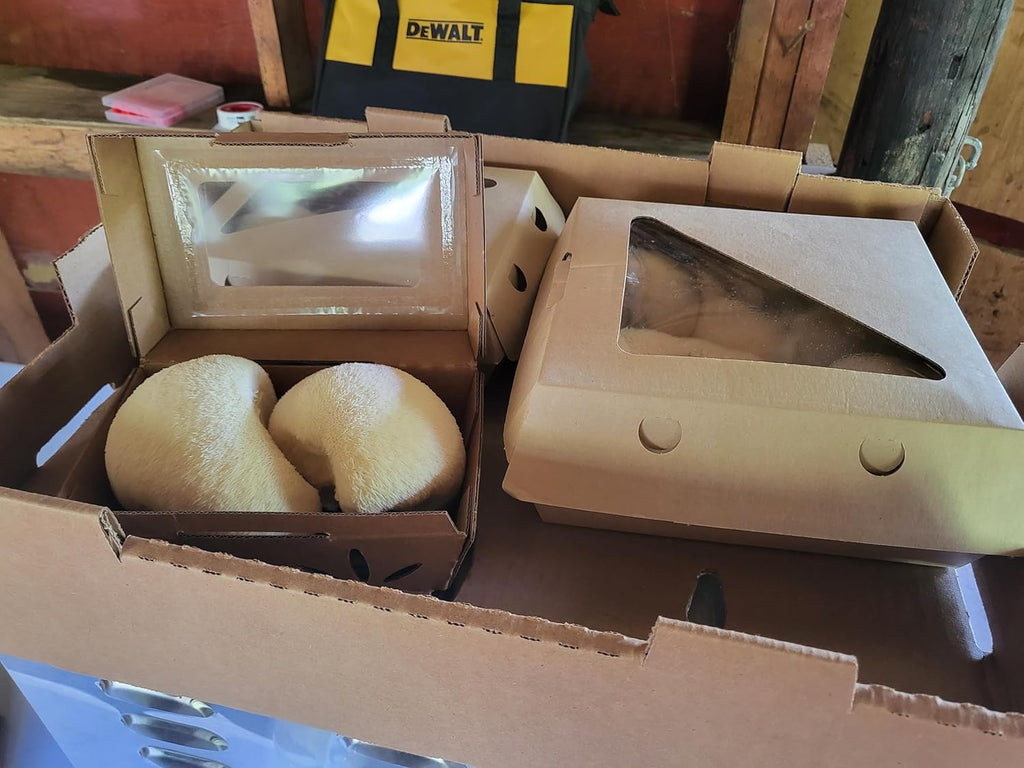 Mushroom Grow Kit XL 10lbs with Sprayer a7