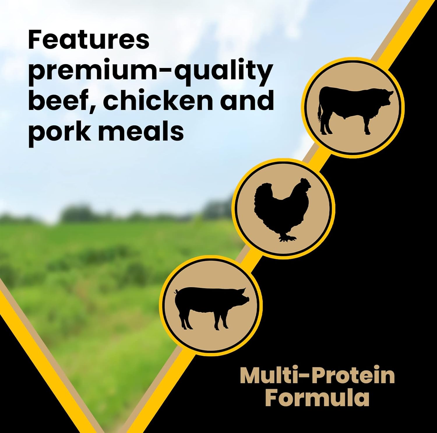 Gluten Free Dry Dog Food with Beef Chicken Pork Protein 50 lb k7