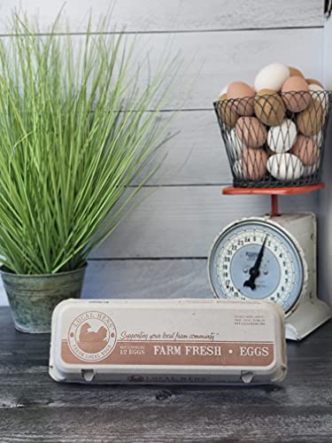 Egg Carton 12 Count Flat Top Pulp 50 Pack a7
