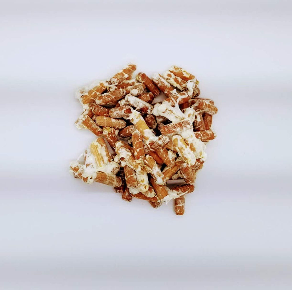 Lion's Mane Mushroom Spawn Plugs for Growing at Home a8