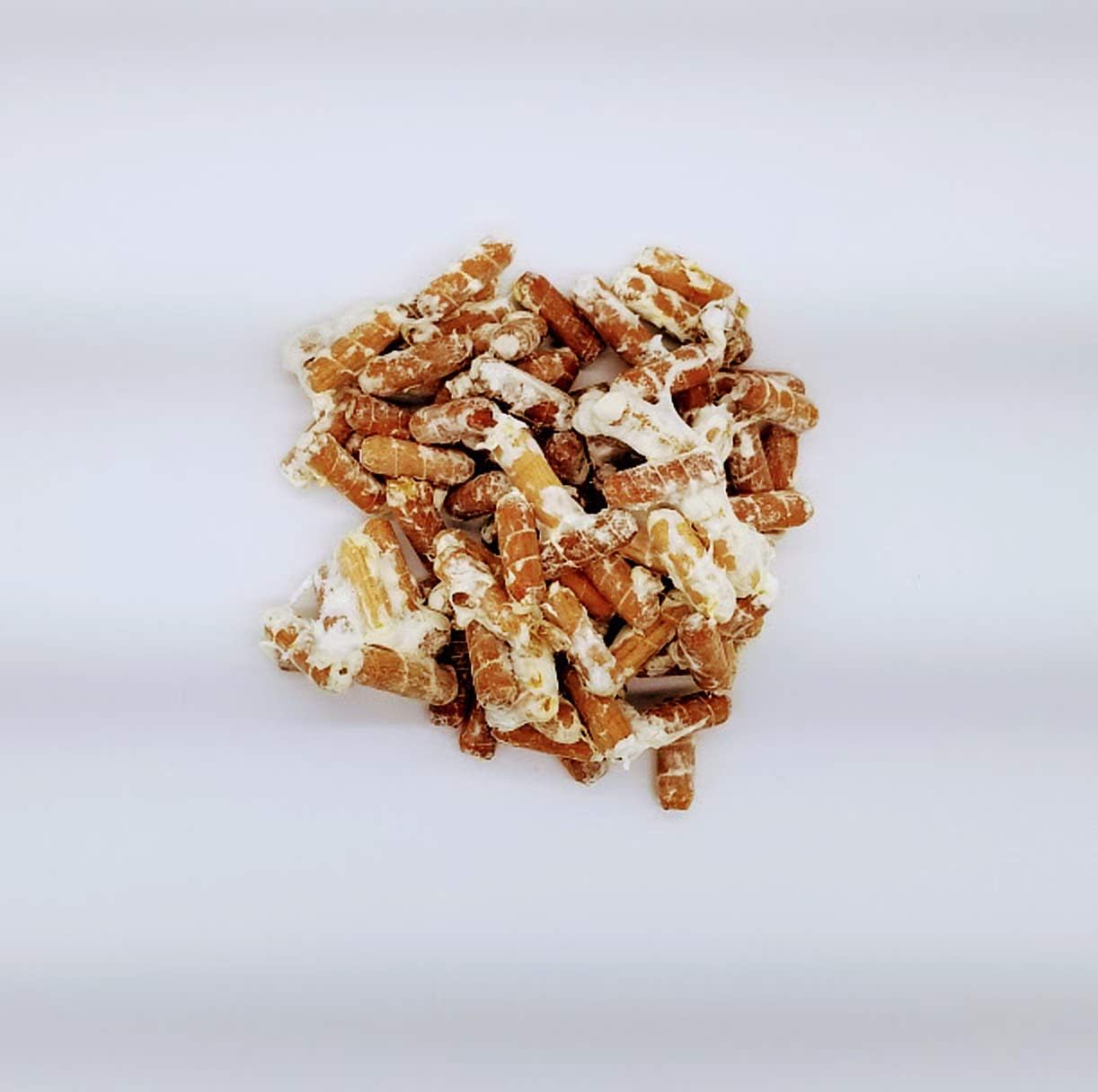 Lion's Mane Mushroom Spawn Plugs for Growing at Home a8