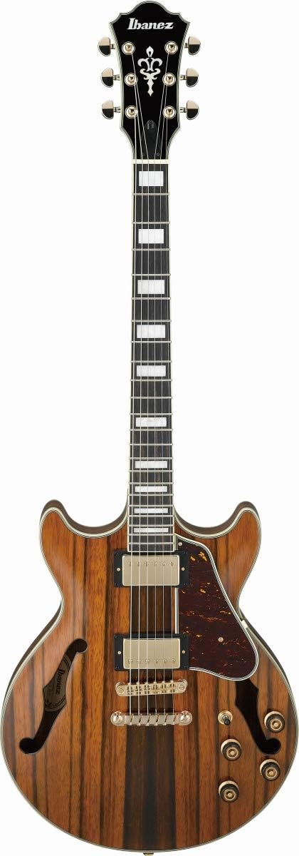 Semi-Hollow Body Electric Guitar with Ebony Fretboard k7