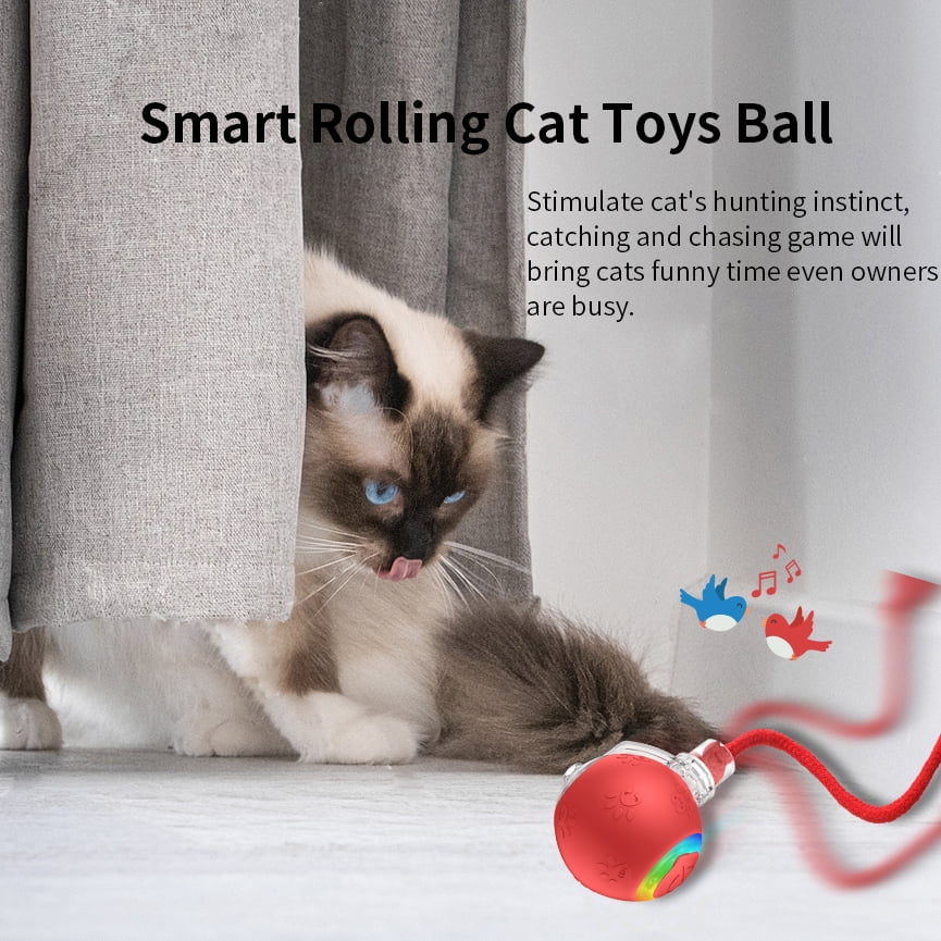 Interactive Cat Toy with Motion-Activated Rolling Ball7k