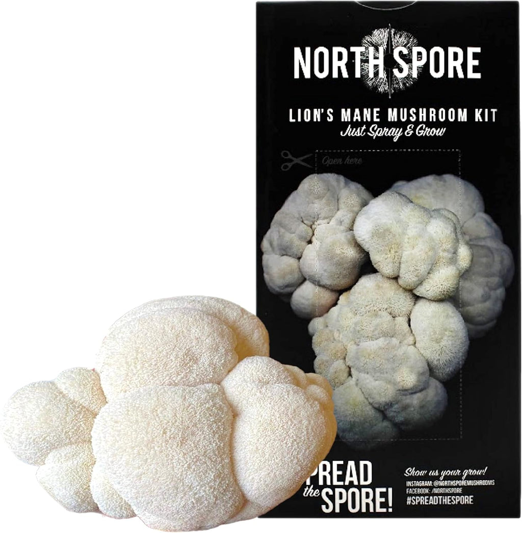 Organic Lion's Mane Mushroom Grow Kit 4 lbs a7