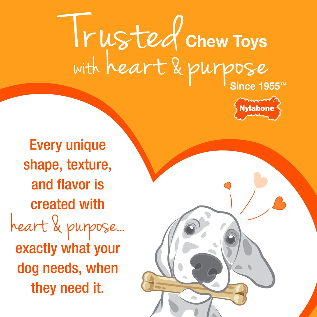 Dog Chew Toy Wood Stick XL a7