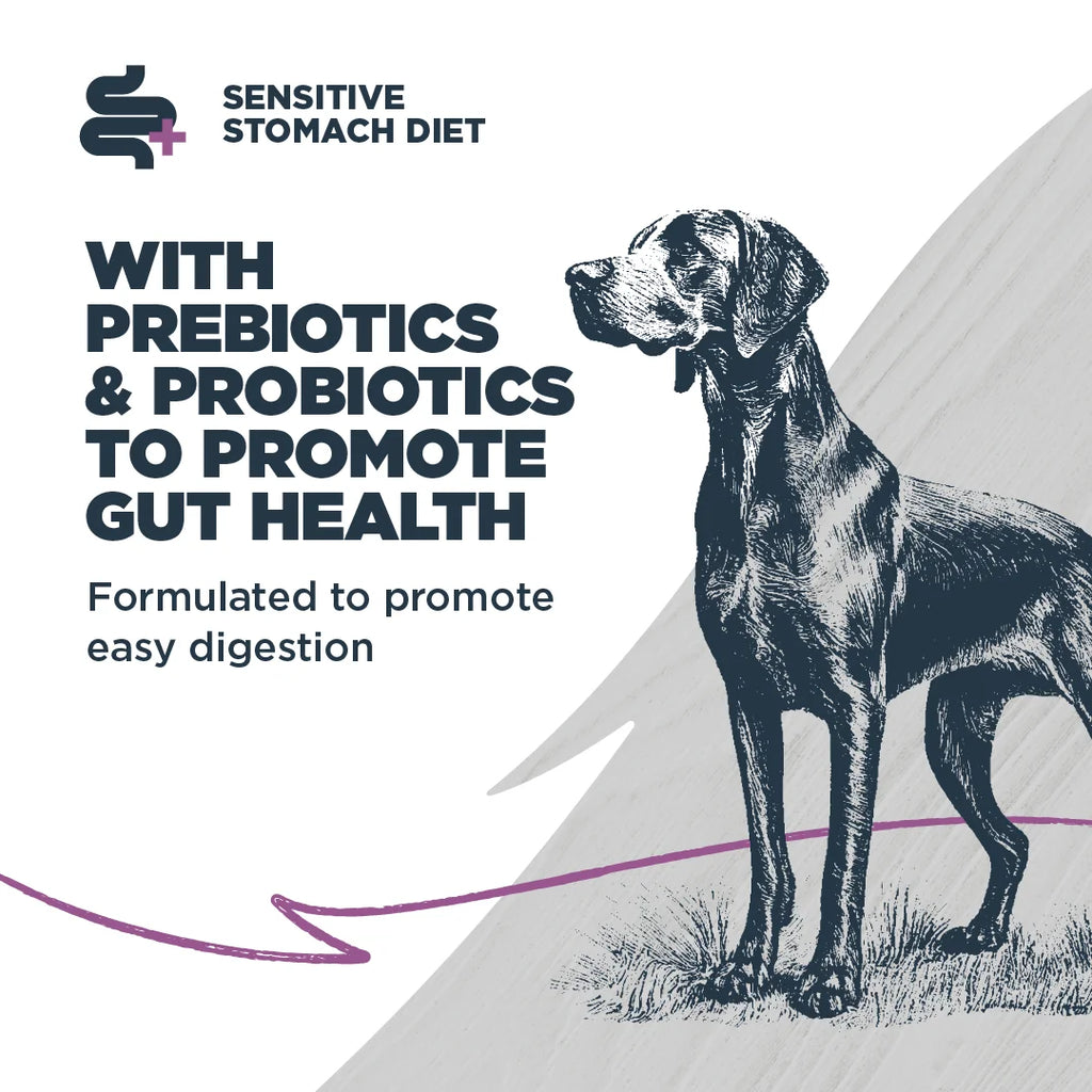 Dry Dog Food Sensitive Skin Salmon Ancient Grains 10 lb. k7