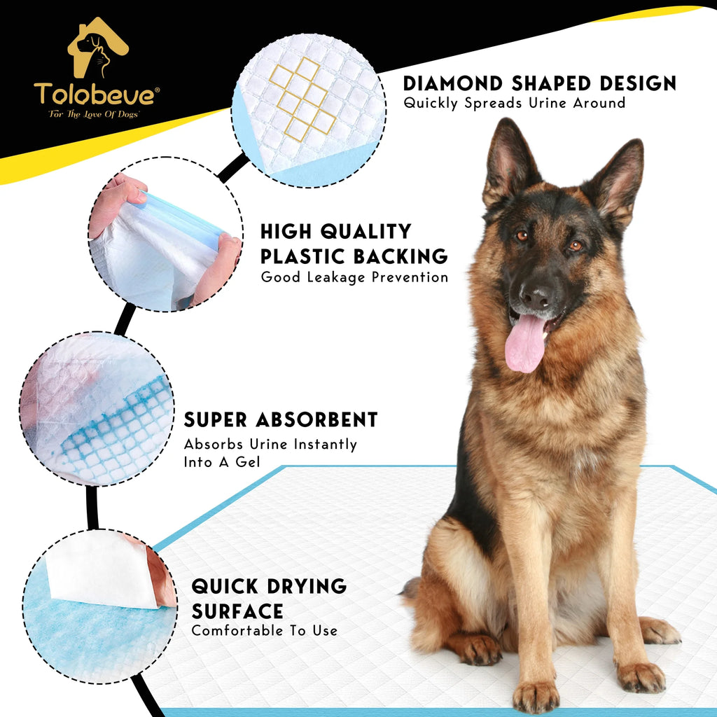 Dog Training Pads XXL 30x36 inch 100 Count a7