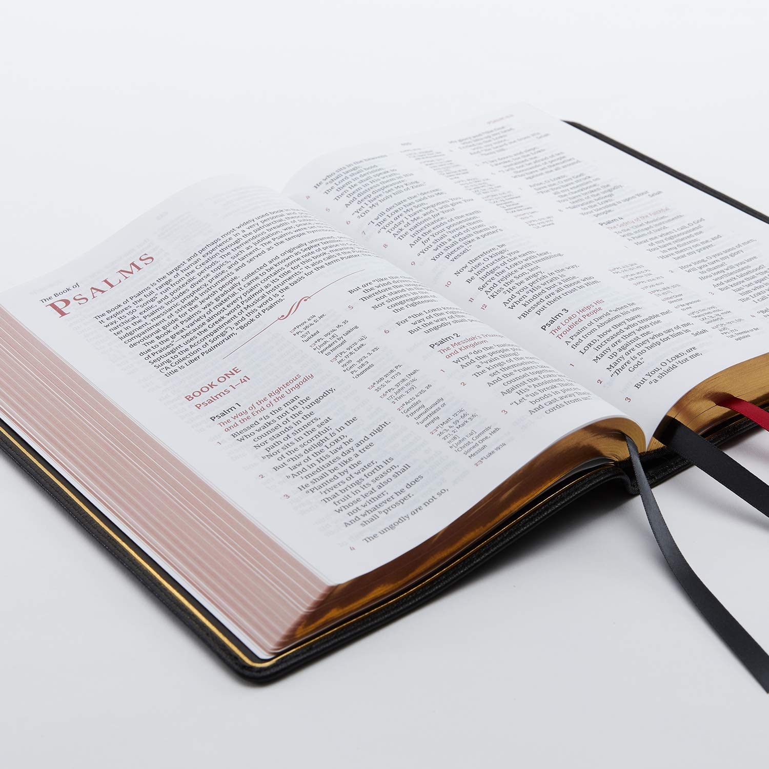 Reference Bible, Goatskin Leather, Black, Red Letter, Comfort Print a7