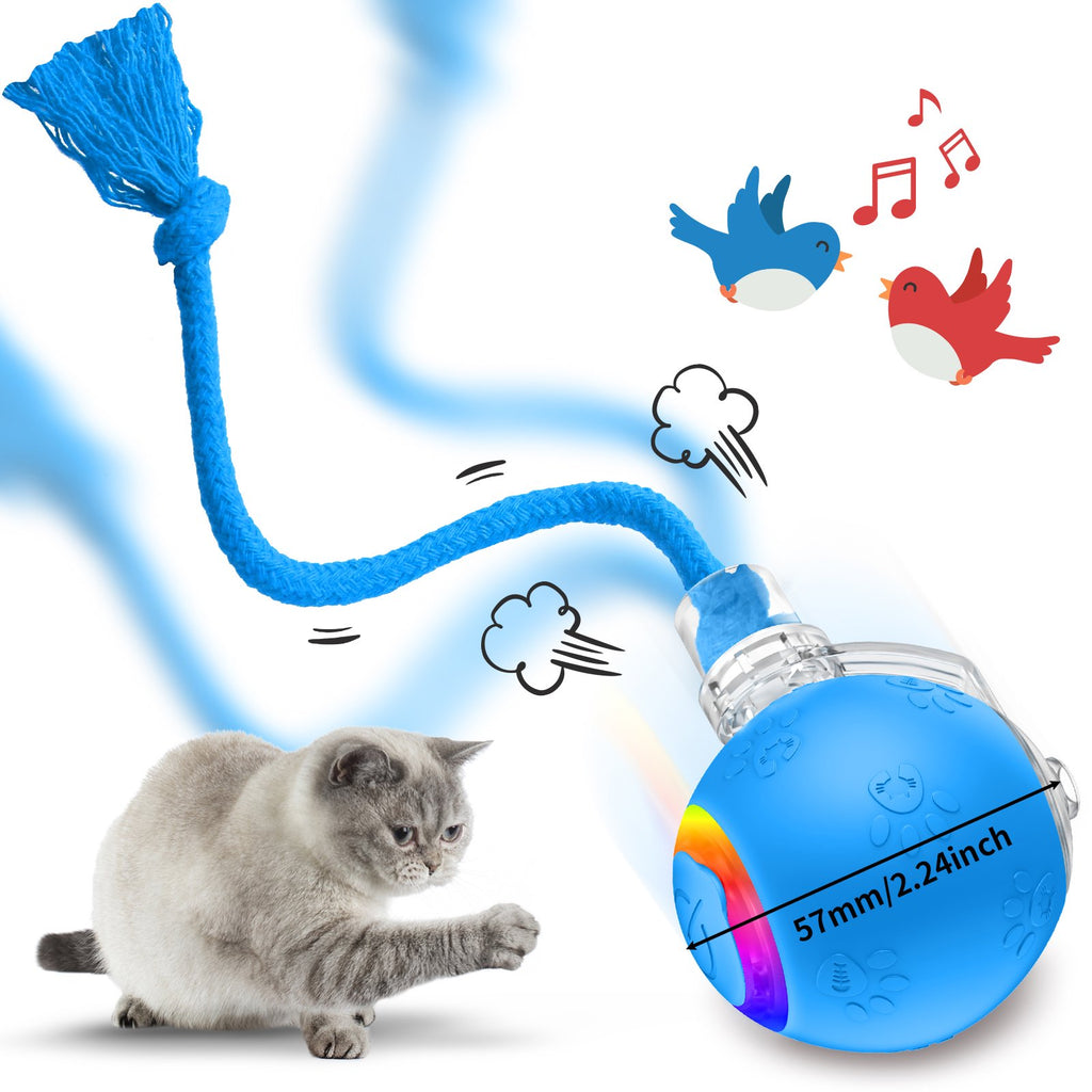 Interactive Cat Toy with Motion-Activated Rolling Ball7k
