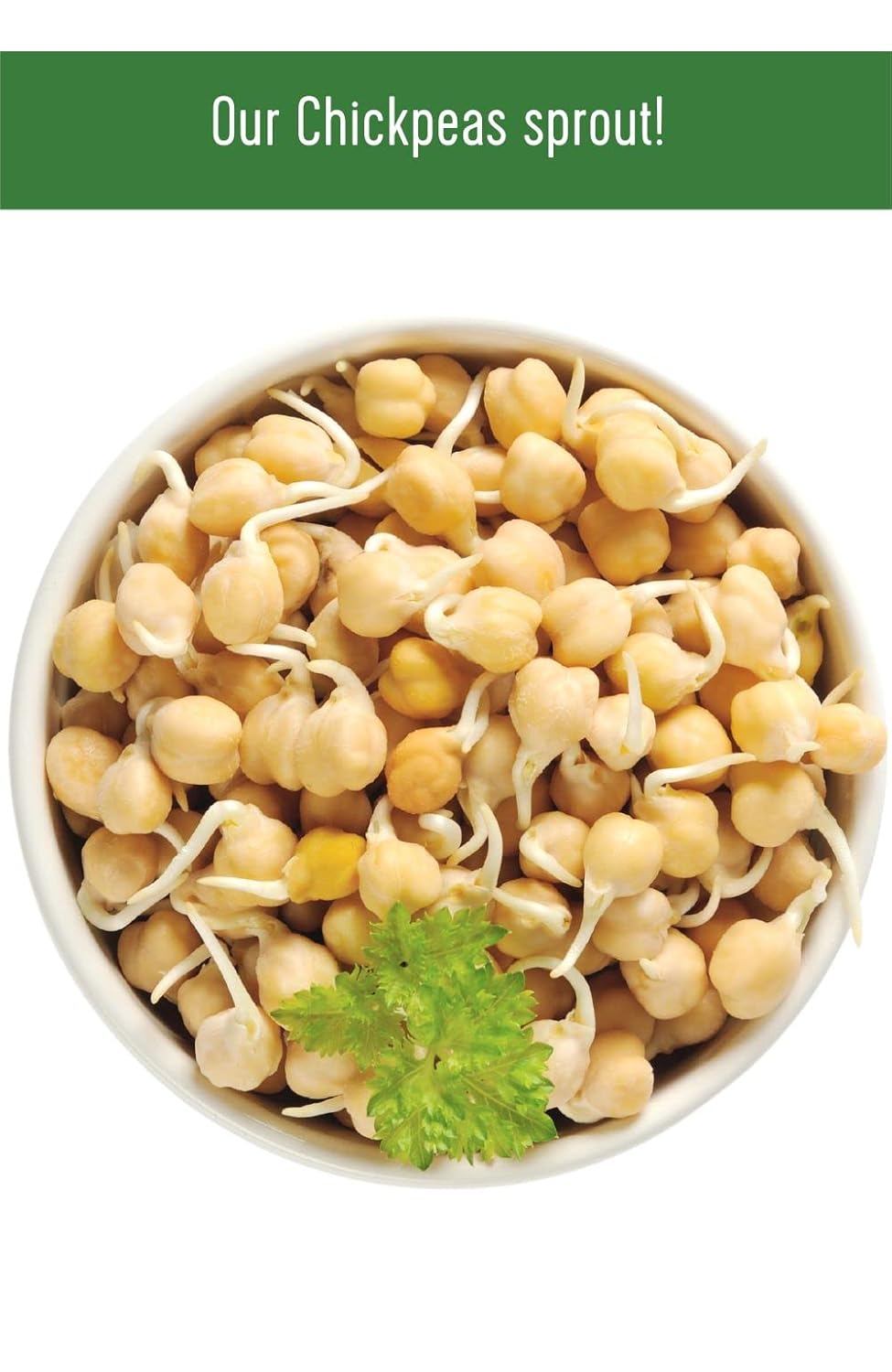 Chickpeas 4 LBS Non-GMO Kosher a7