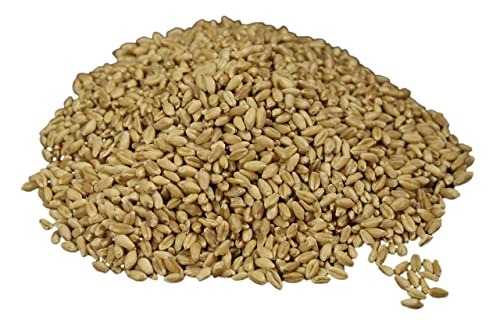 Hard White Wheat Berries 25 lb Bulk Long Term Food Storage k7