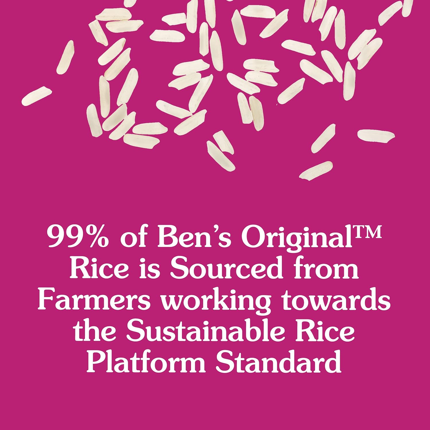 Spanish Style Rice 8.8 oz 6 Pack k7