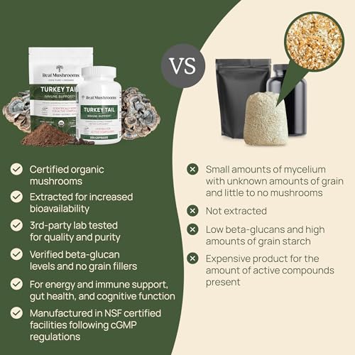 Turkey Tail Mushroom Powder Organic Supplement 7k