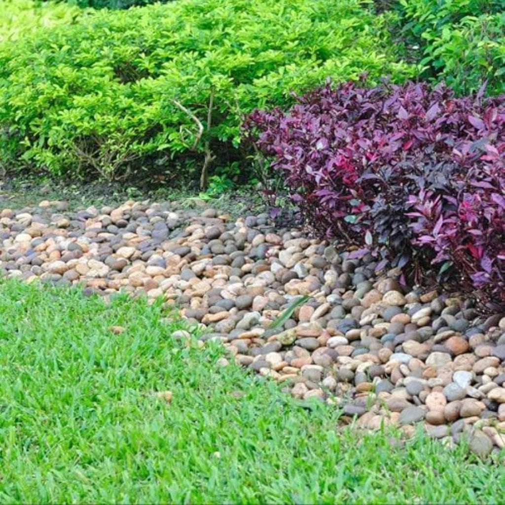 Decorative River Rocks for Landscaping Garden Stones q7