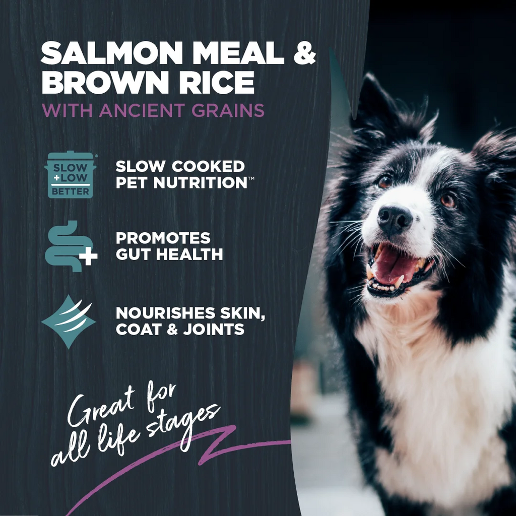 Dry Dog Food Sensitive Skin Salmon Ancient Grains 10 lb. k7