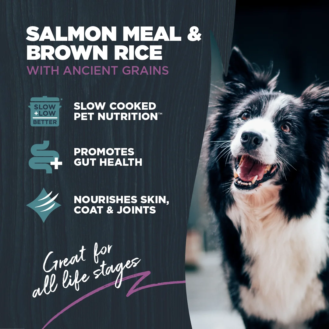 Dry Dog Food Sensitive Skin Salmon Ancient Grains 10 lb. k7