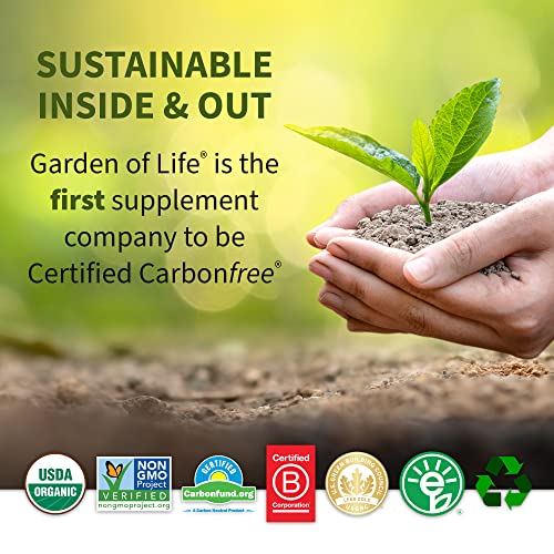 Vanilla Plant Protein Powder 22g Probiotics Digestive Enzymes k7