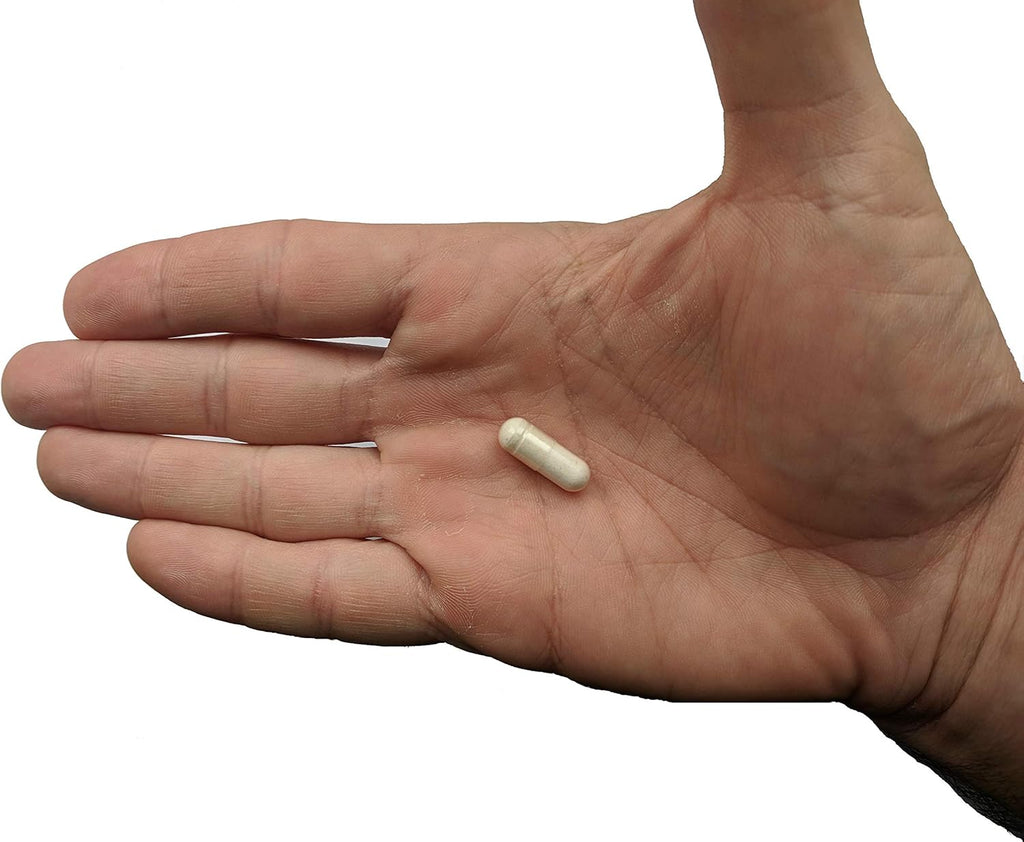 Probiotic Prebiotic Gut Health Supplement 4.4 Bn CFU k7