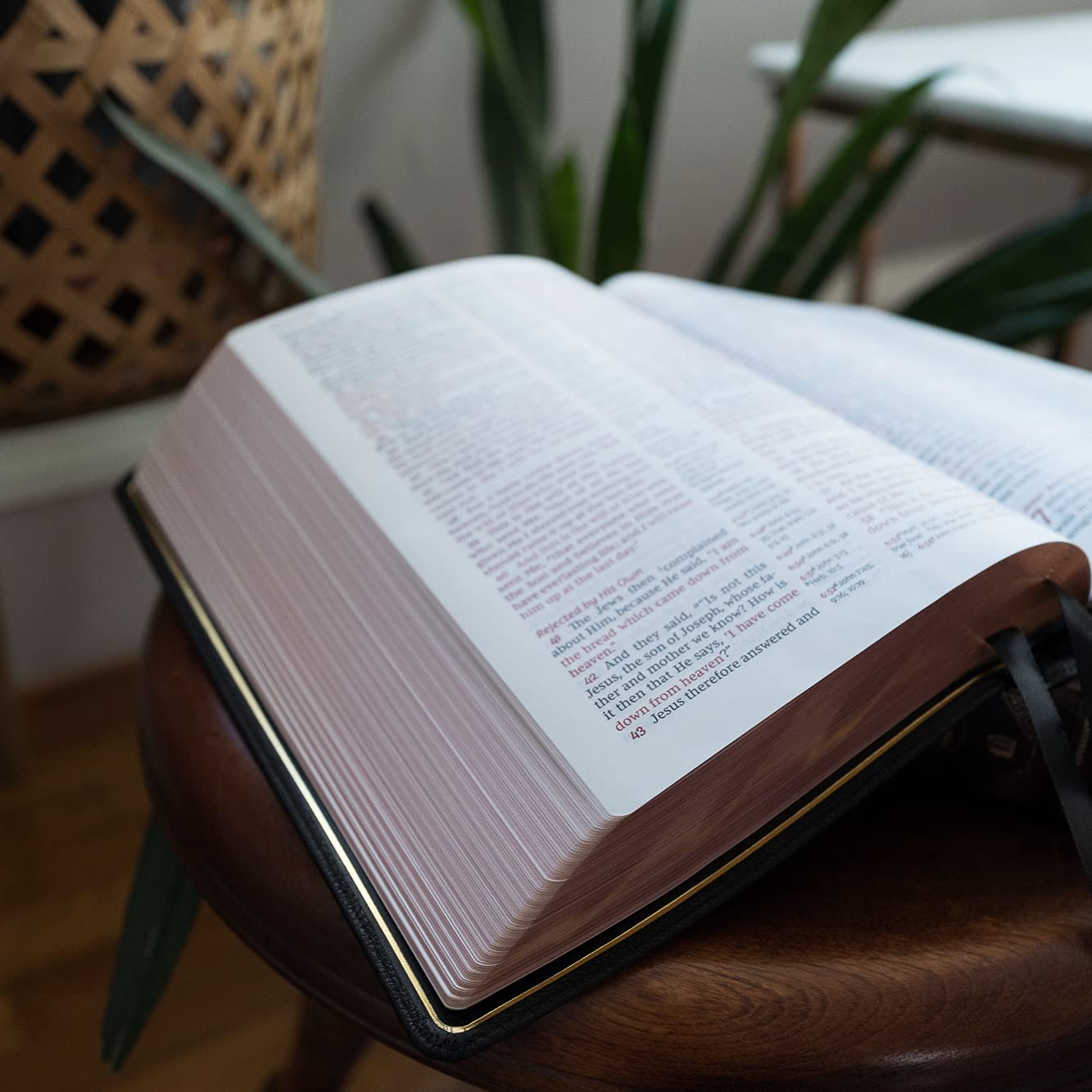 Reference Bible, Goatskin Leather, Black, Red Letter, Comfort Print a7