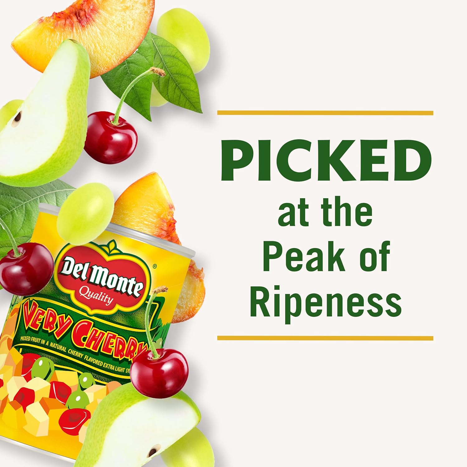 Cherry Mixed Fruit in Light Syrup Canned 12 Pack 15 oz a7