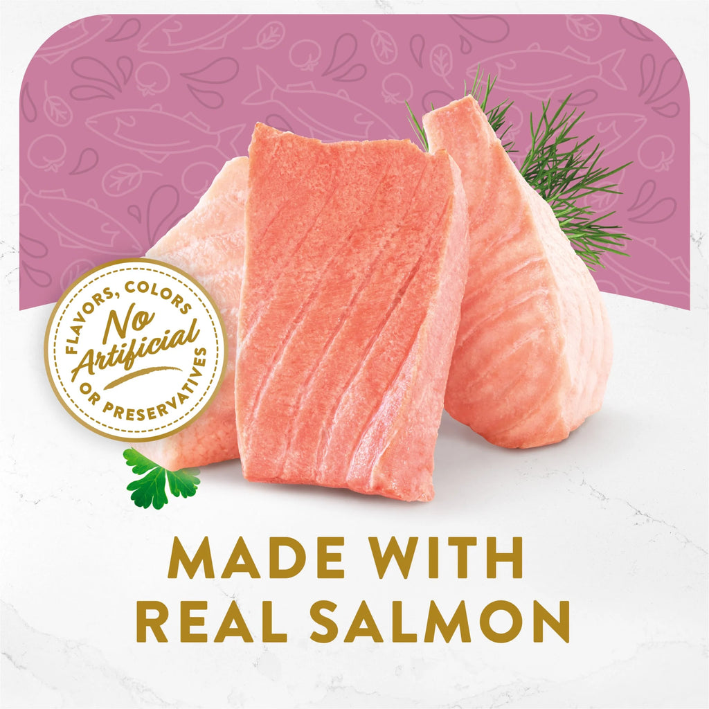Kitten Wet Cat Food Salmon Vegetables 1.4 oz Pouch k7