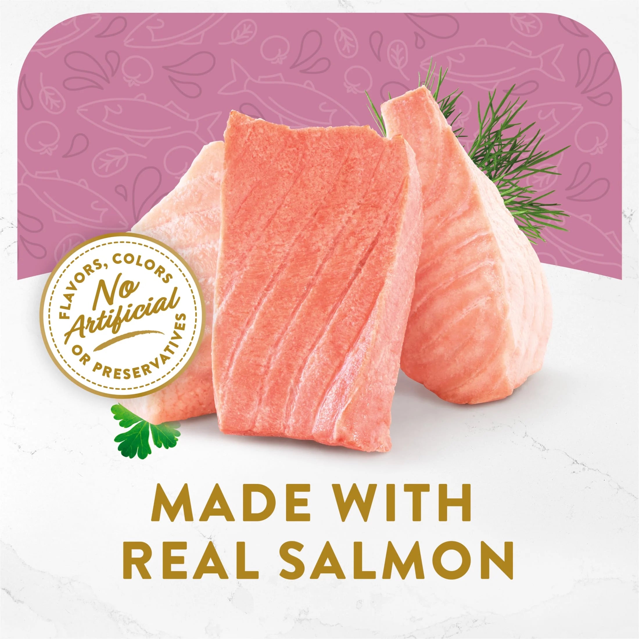 Kitten Wet Cat Food Salmon Vegetables 1.4 oz Pouch k7