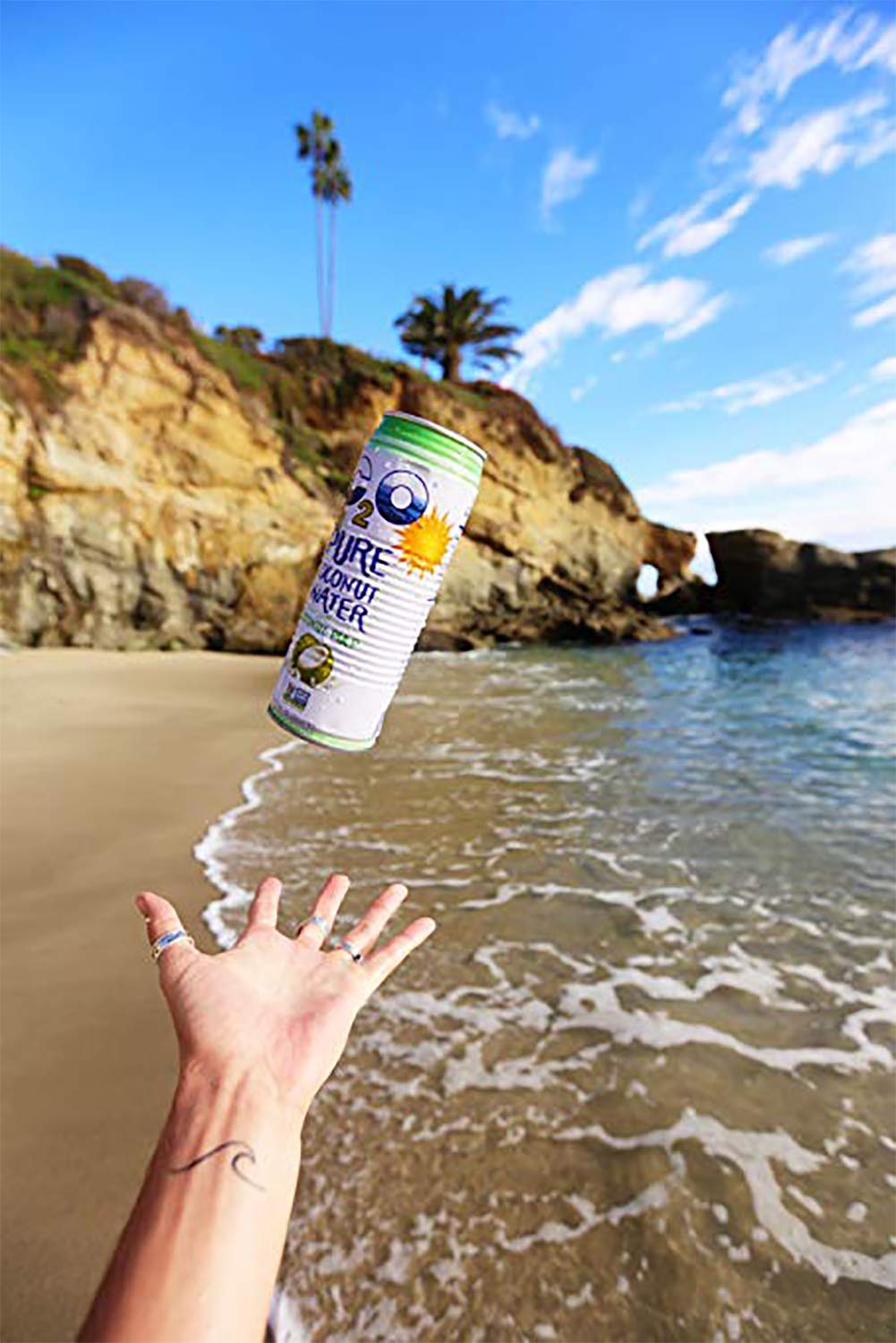 Coconut Water with Pulp, No Added Sugar, 17.5 fl oz Pack of 12 k7