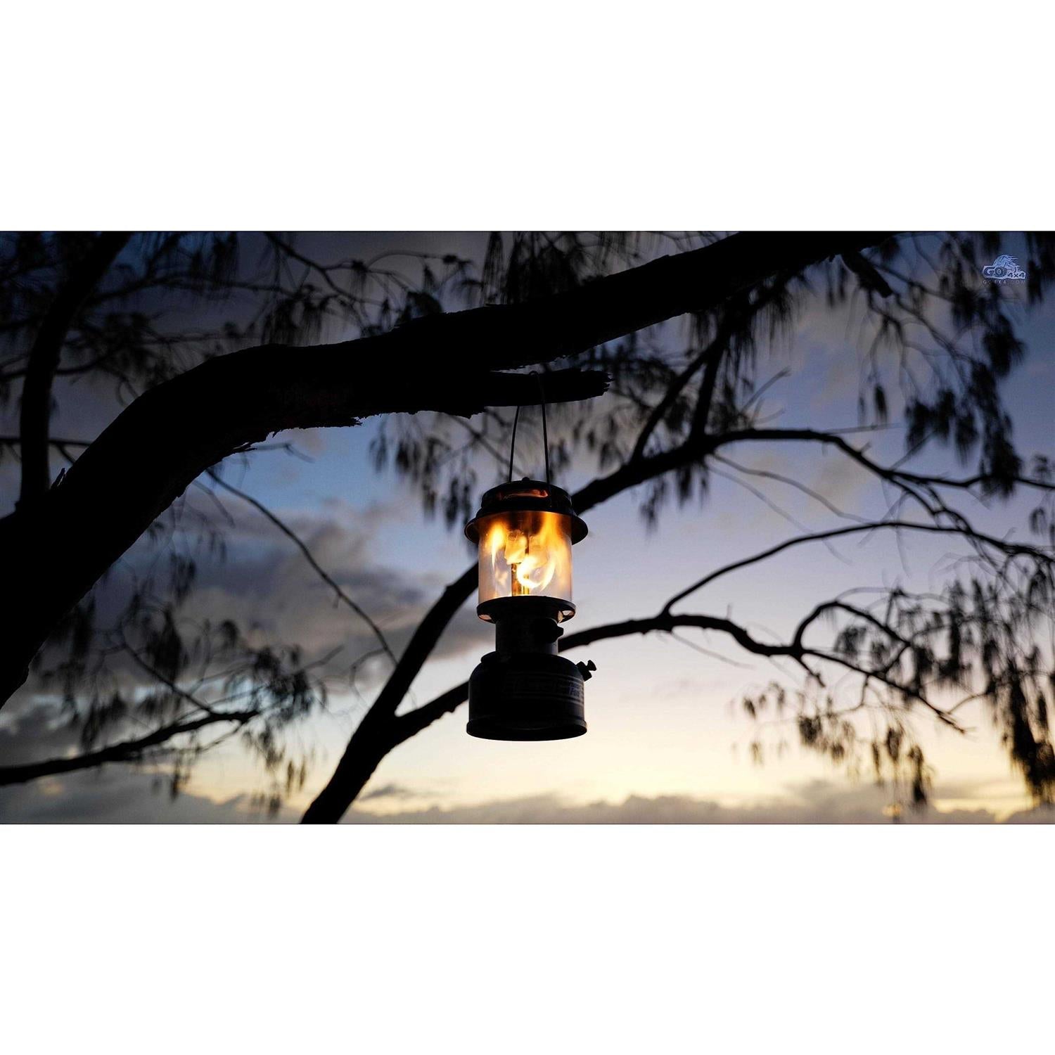 Dual Fuel Lantern for Camping a7
