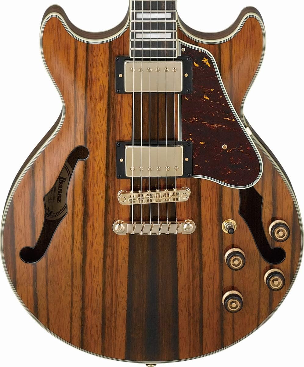 Semi-Hollow Body Electric Guitar with Ebony Fretboard k7