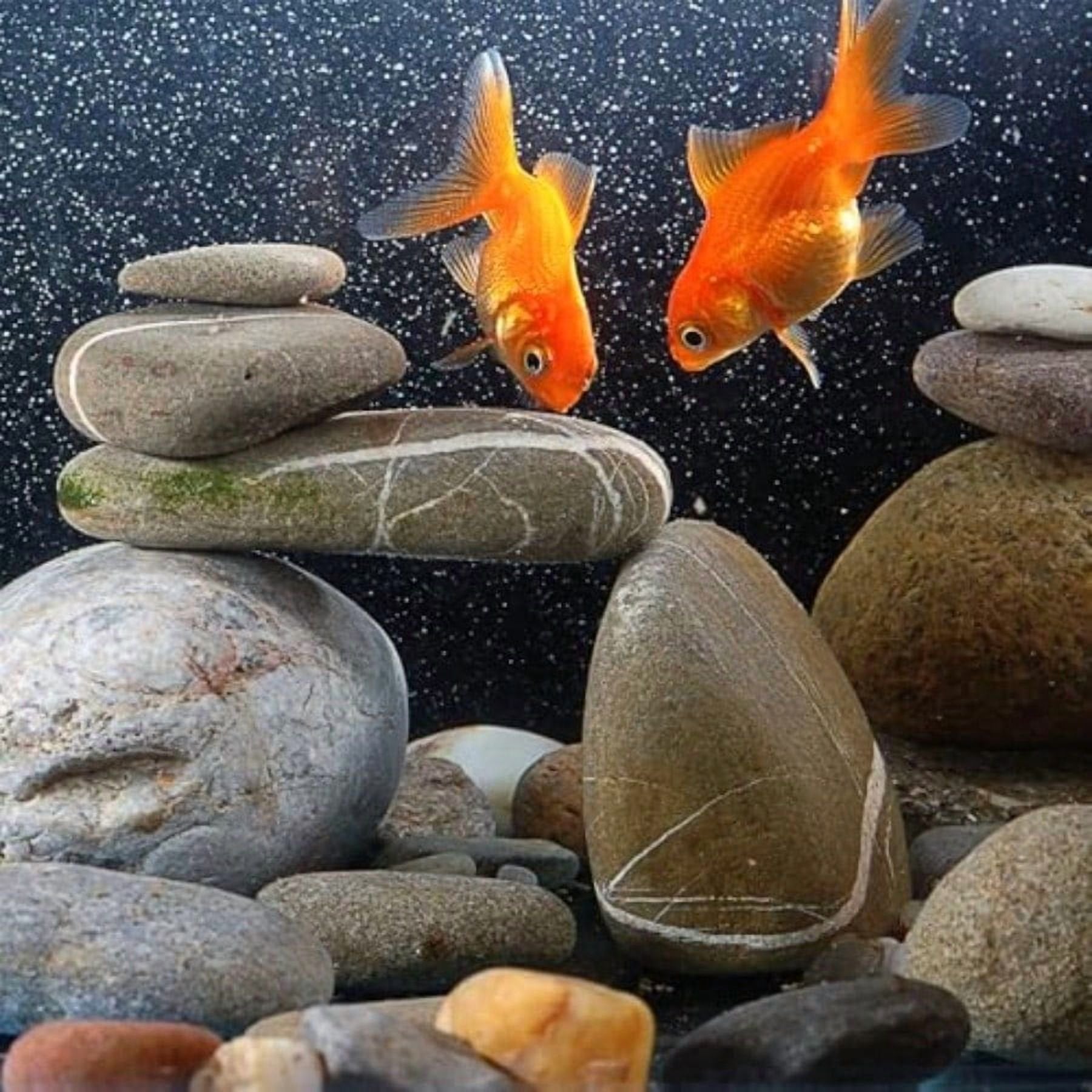 Decorative River Rocks for Landscaping Garden Stones q7