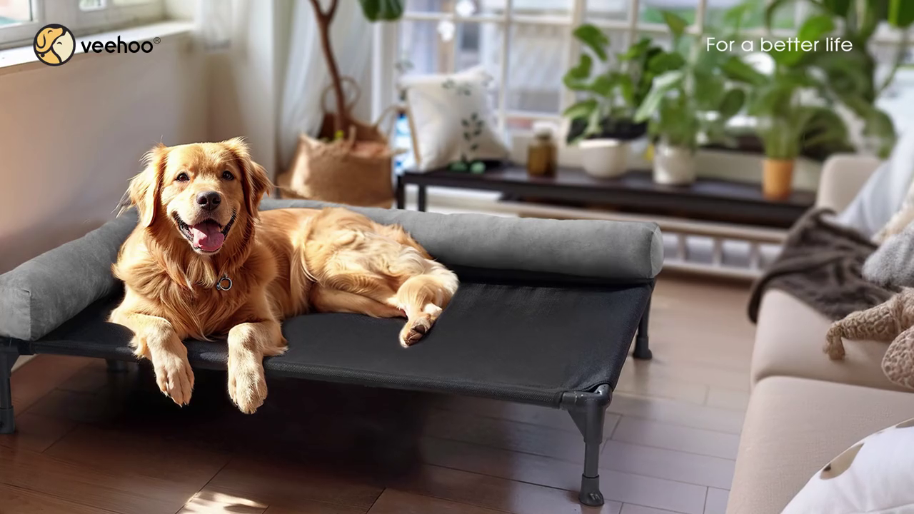 Elevated Dog Bed for Extra Large Dogs, Cooling Portable Cot with Washable Mesh A7