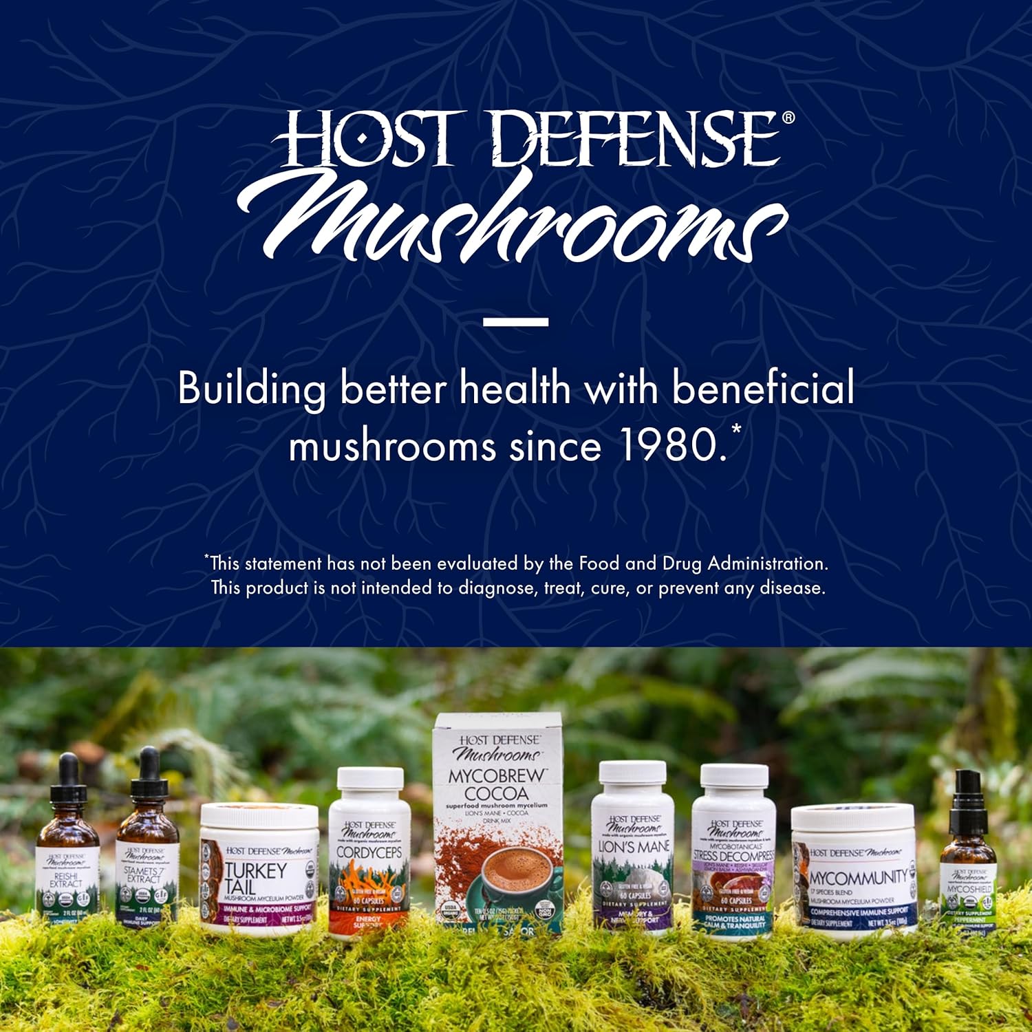 Mushroom Supplement Powder with 17 Species Blend 100g a7