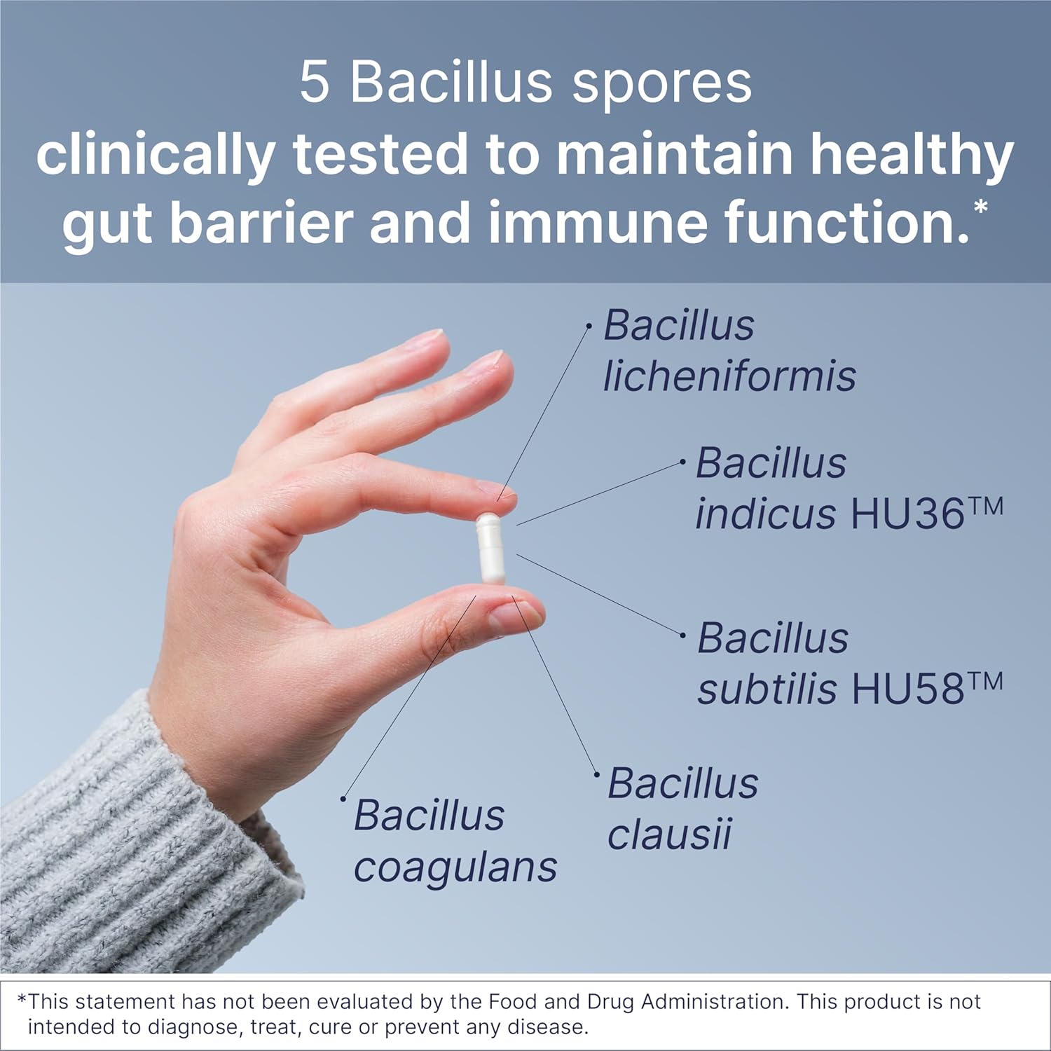 Probiotic Gut Support Bundle 60 Capsules 5.5oz Powder a7