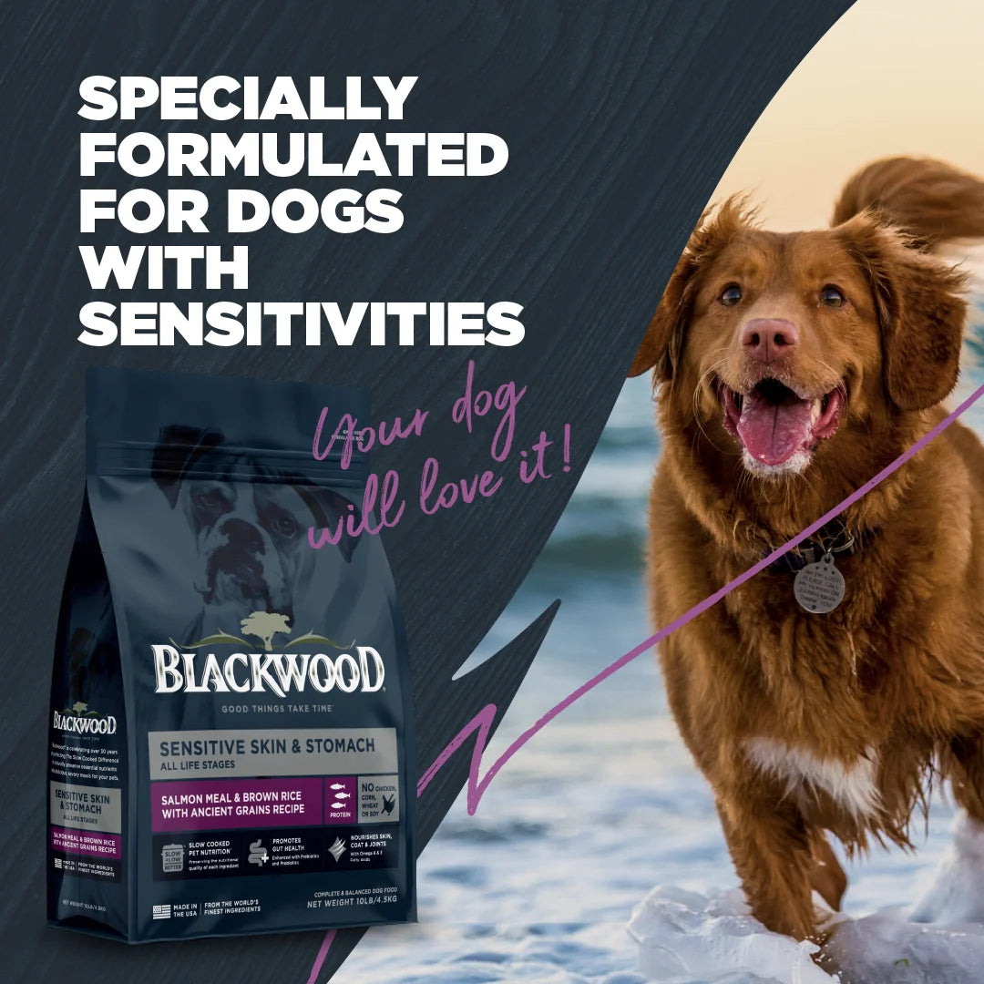 Dry Dog Food Sensitive Skin Salmon Ancient Grains 10 lb. k7